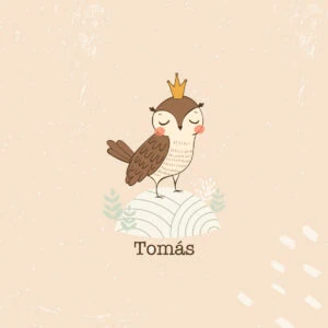 1. Dueño de álbumes infantiles con ilustración de búho con corona en tonos suaves y rosados.