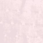 Plumeti Rosa