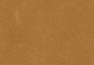 Álbumes fotográficos 3F de alta calidad para momentos especiales en tus recuerdos.