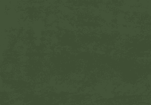 Fondo de tapa de álbumes 3F en color verde oscuro.