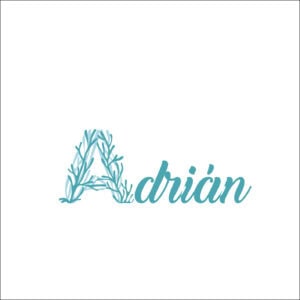 Álbum personalizado con diseño de ramas para recuerdos y fotos especiales, ideal para regalos y momentos únicos.