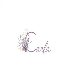 Burbujas y plantas marinas en diseño de álbumes personalizados para niños y bebés.