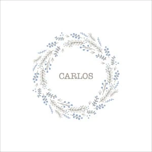 Tarjeta personalizada con nombre en marco de hojas y ramas en tonos gris y azul.