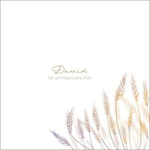 1. Álbum de primera comunión para bautizo y evento especial.