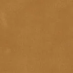 Velvet Camel