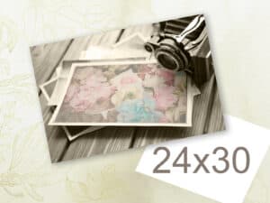 Hermosa fotografía de flores en álbum de fotos, estilo vintage, ideal para salvar momentos especiales y recuerdos.