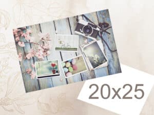 Fotos de álbumes 3F con fotos, cámara y decoración floral en estilo vintage.