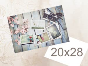 Fotos de álbumes de fotos, cámaras instantáneas y recuerdos en estilo vintage.