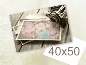 Fotografía de álbumes y cámara vintage con fotos de flores, ideal para álbumes de recuerdos y fotografía.