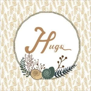 Elegante álbum con diseño natural y hojas, ideal para fotos y recuerdos especiales.