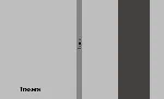 basic_materiales_06_28x35v