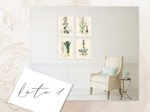 Flores vintage botánica, cuadros decorativos para hogar, arte enmarcado en estilo clásico.