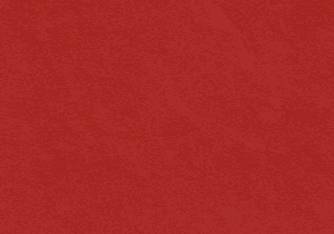 1. Álbumes de fotos en color rojo para recuerdos especiales.