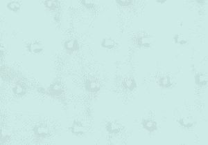 Álbumes 3F, almacenamiento de recuerdos y fotografías en elegante diseño.