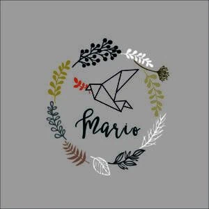Originalidad en álbumes personalizados para bebés y niños, diseños exclusivos para recuerdos inolvidables.