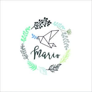 Origami pajarito y nombre en en círculo de hojas verdes y grises, diseño para álbumes de fotos y recuerdos personalizados.