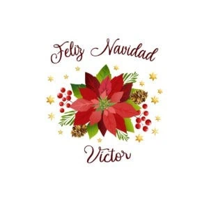 Envase navideño con flores de poinsettia, hojas, piñas y estrellas doradas, ideal para regalos de Navidad.