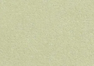 Fondo de color beige para álbumes fotográficos y proyectos creativos.