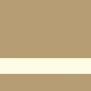 Bandeja de álbumes 3F en color beige con diseño elegante para guardar recuerdos importantes.